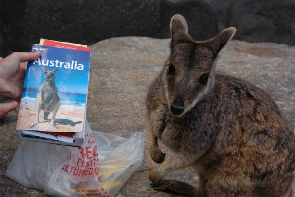 Australia Guidebook
