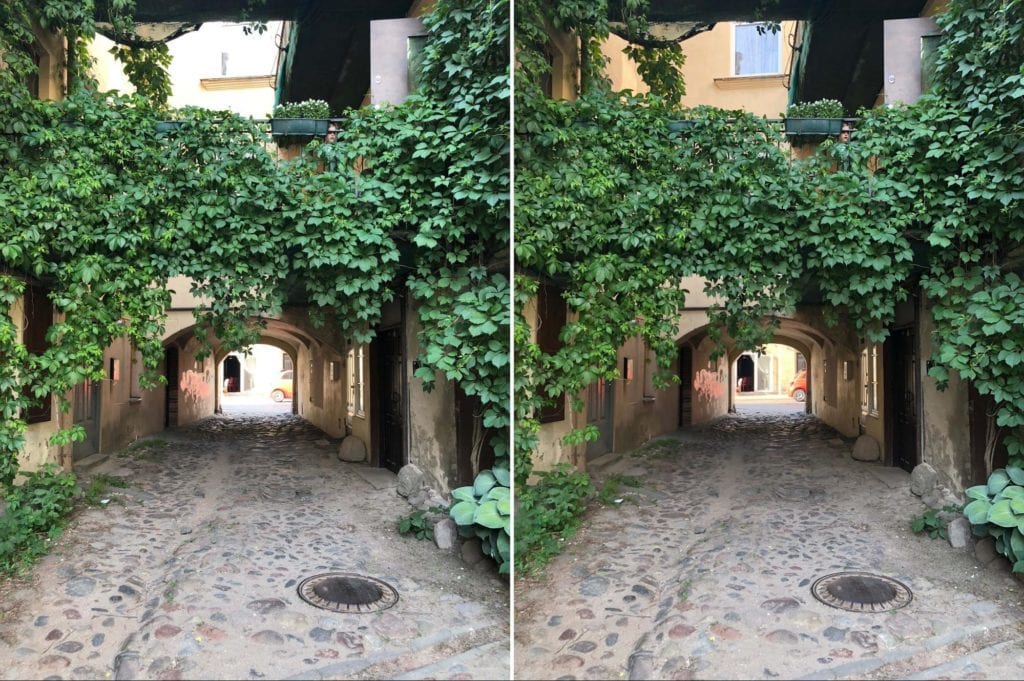 Tips to Improve Your Smartphone Photography