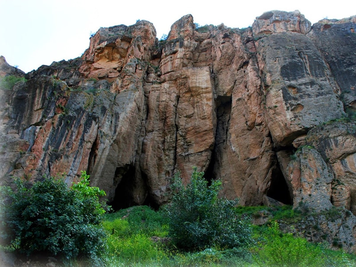 Areni