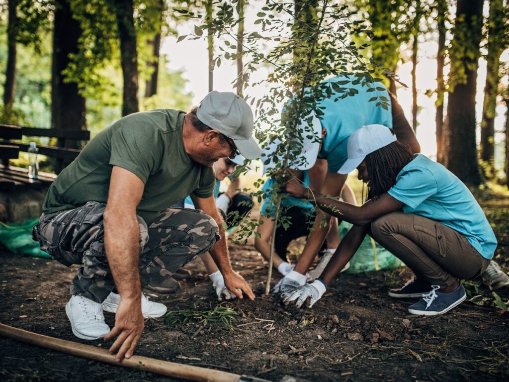 Worldpackers placement - planting trees