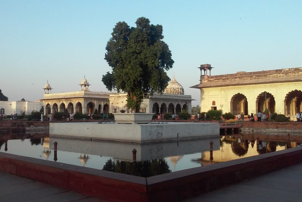Living in Delhi, India