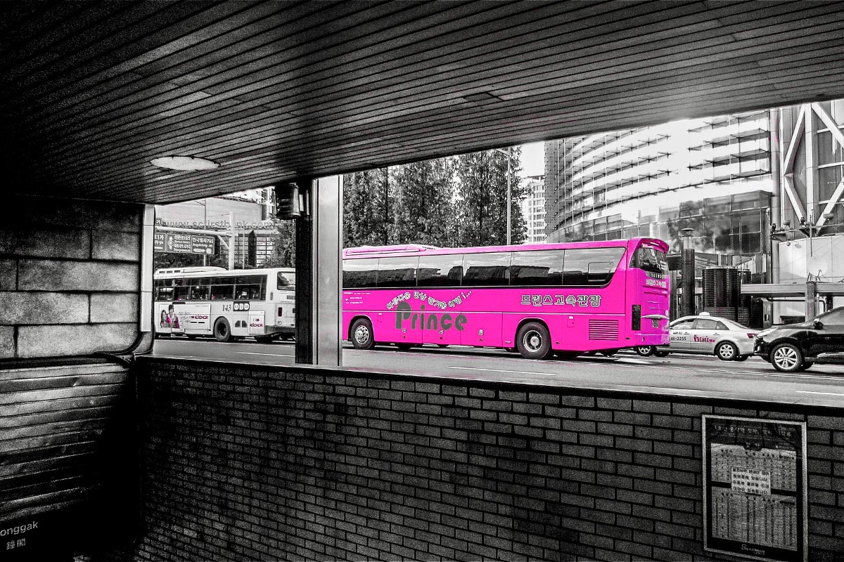 coach in Korea