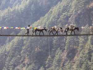 Nepal views
