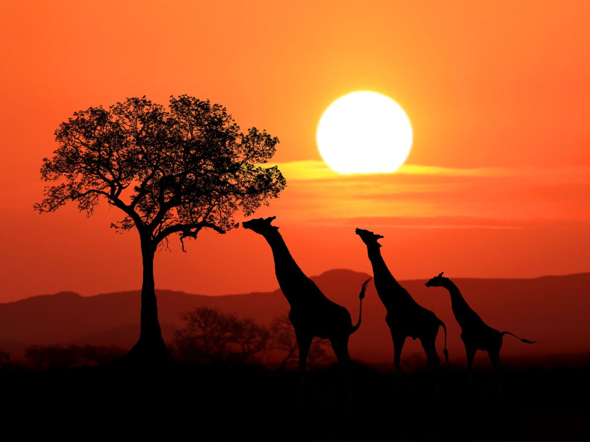South Africa Cost of Travel – What is a typical Backpacker Budget?