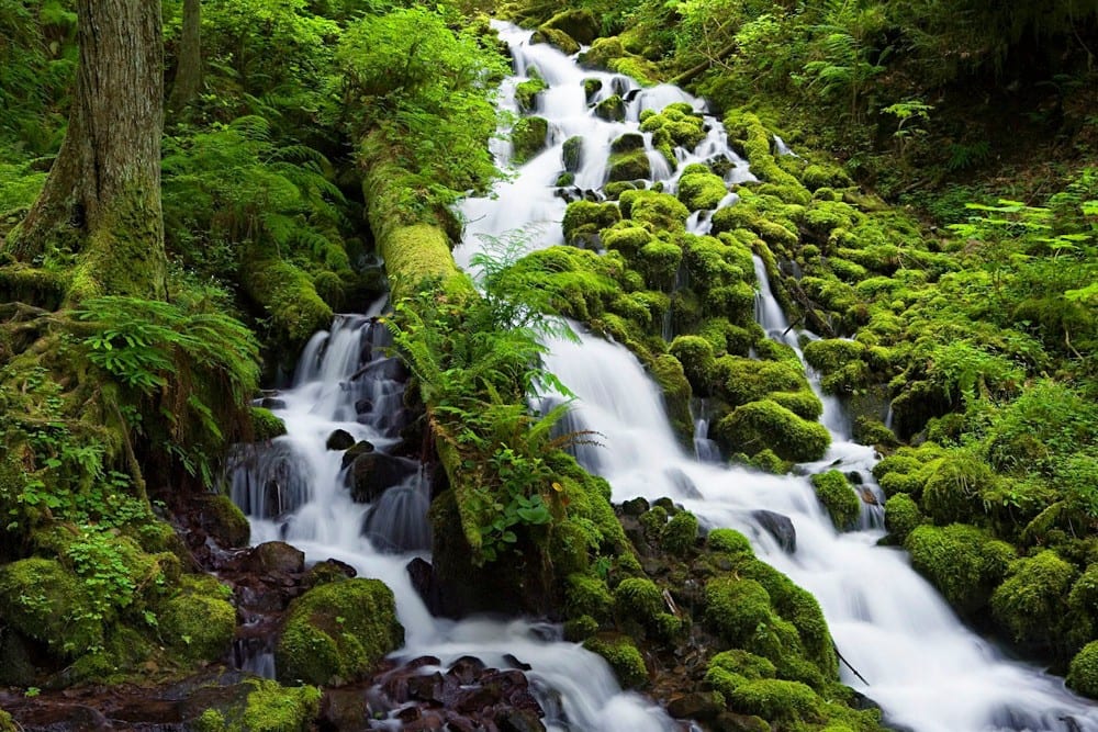 Columbia River Gorge National Scenic Area